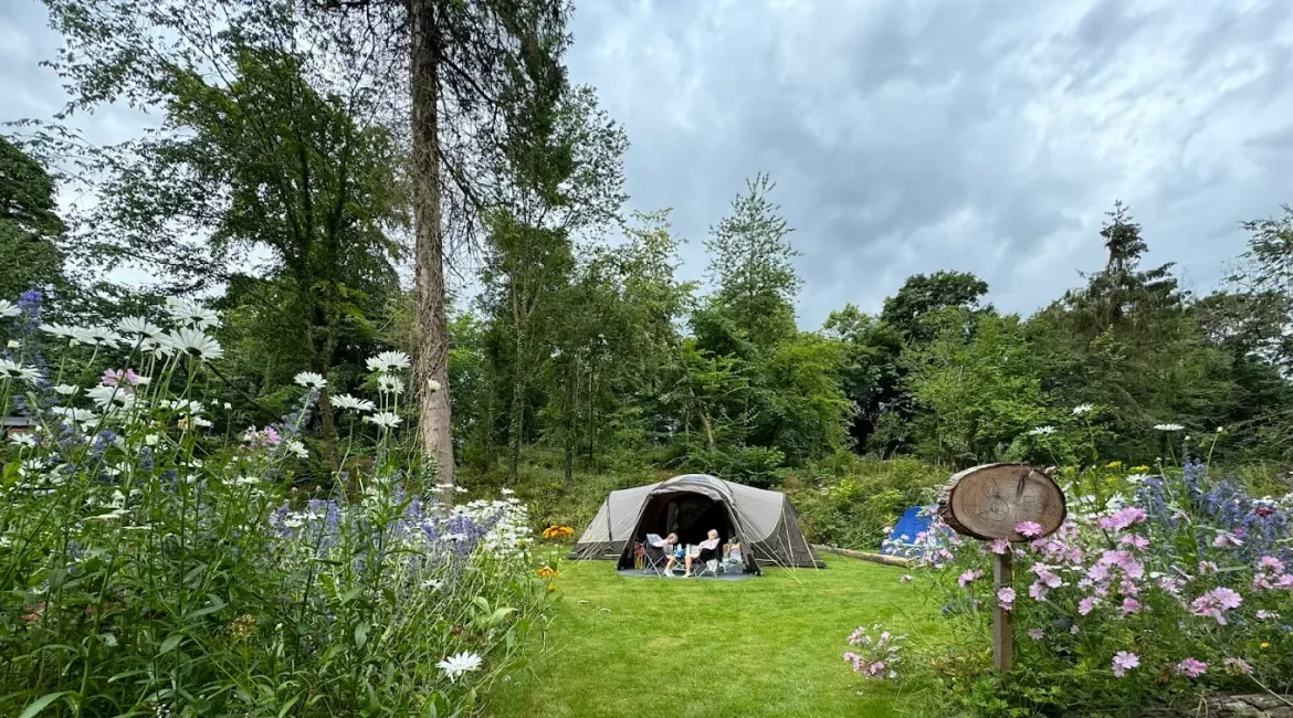 Fox Tent