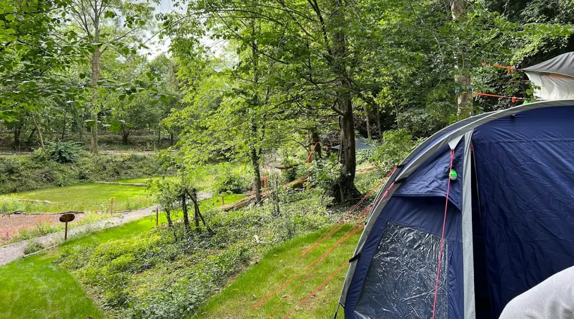 Tent pitched on a secluded grass pitch among the trees at Tree Tops and Train Tracks woodland campsite in North Wales