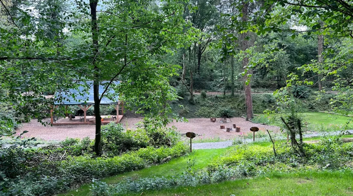 Woodland campsite communal area with covered shelter and designated firepit spaces at Tree Tops and Train Tracks in North Wales