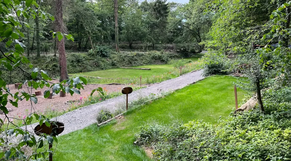 Spacious grass camping pitches surrounded by ancient woodland at Tree Tops and Train Tracks in North Wales