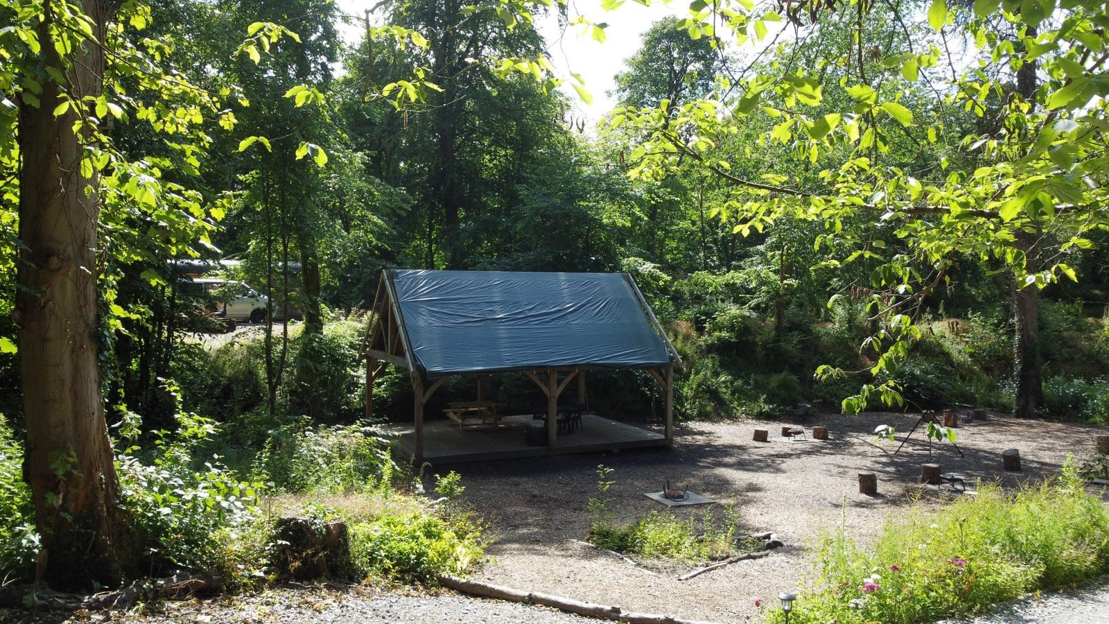 Woodland campsite communal area with covered shelter and fire pits at Tree Tops and Train Tracks in North Wales
