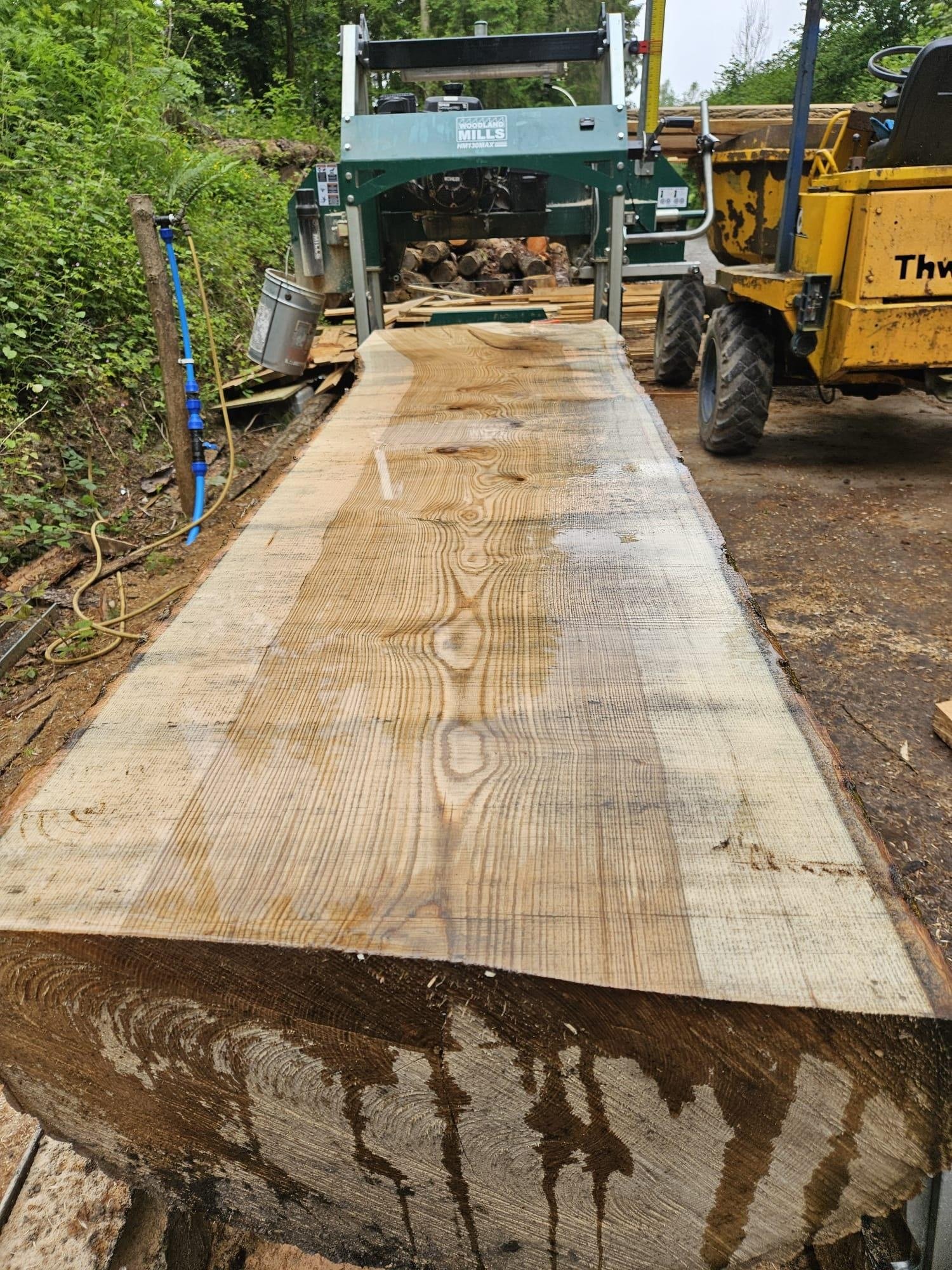 Large timber slab being milled on site from sustainably managed woodland at Tree Tops and Train Tracks in North Wales