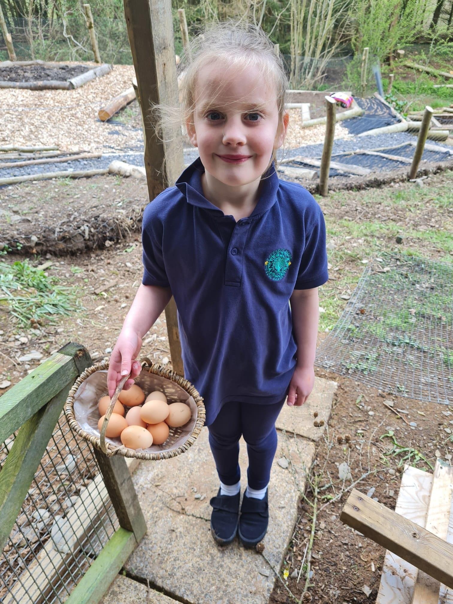 Child collecting fresh eggs during a family-friendly woodland holiday at Tree Tops and Train Tracks in North Wales