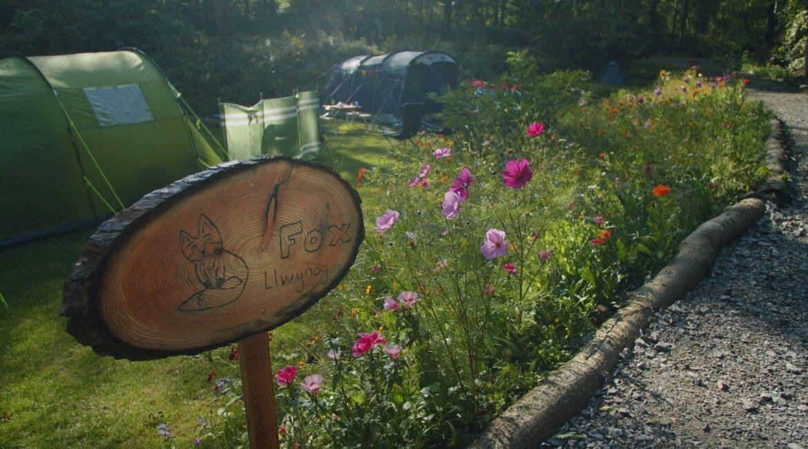 Experience nature like never before & start glamping
