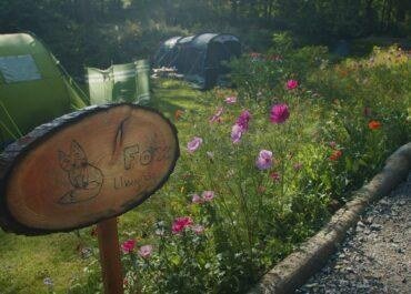 Experience nature like never before & start glamping