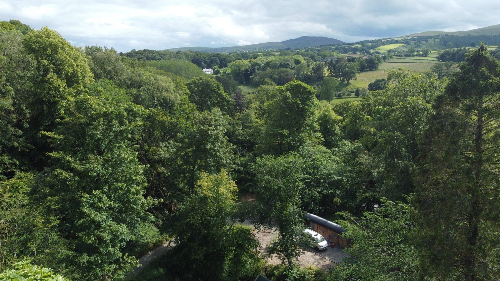 Aerial view over the woodland at Tree Tops and Train Tracks with the rolling North Wales countryside beyond