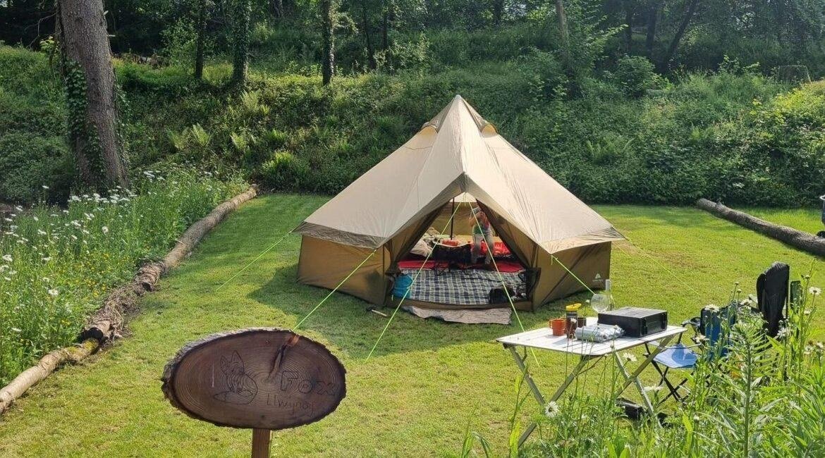 Spacious Fox woodland camping pitch with a large family tent at Tree Tops and Train Tracks in North Wales