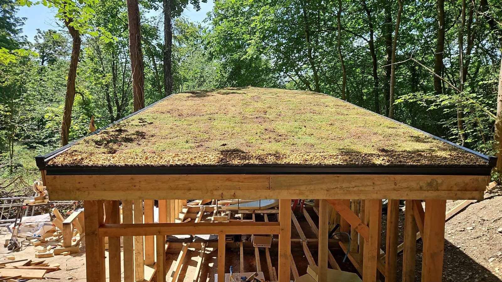 Living sedum roof on The Toad Hideout woodland cabin at Tree Tops and Train Tracks in North Wales