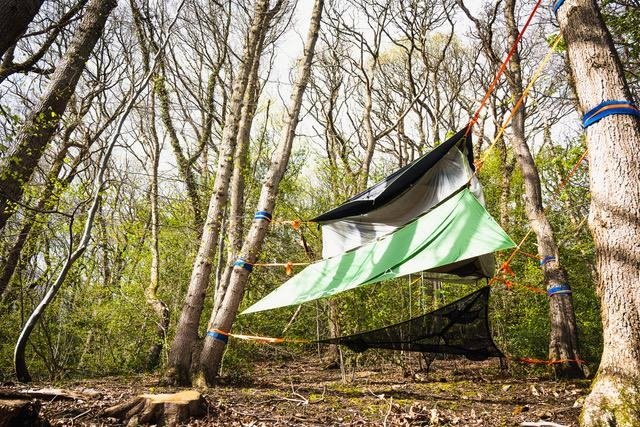 The Buzzard multi-level tree tent suspended between trees in our woodland at Tree Tops and Train Tracks, North Wales