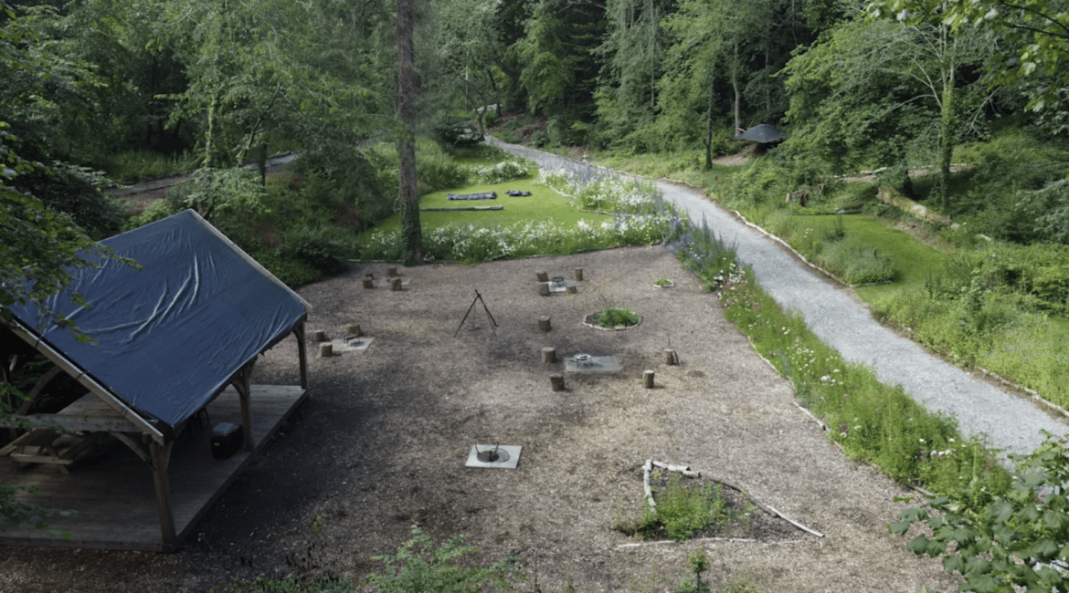 Communal woodland camping area with designated firepits, timber shelter and wildflower-lined paths at Tree Tops and Train Tracks in North Wales