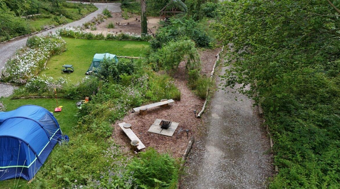 Designated firepit area with log seating between woodland camping pitches at Tree Tops and Train Tracks in North Wales