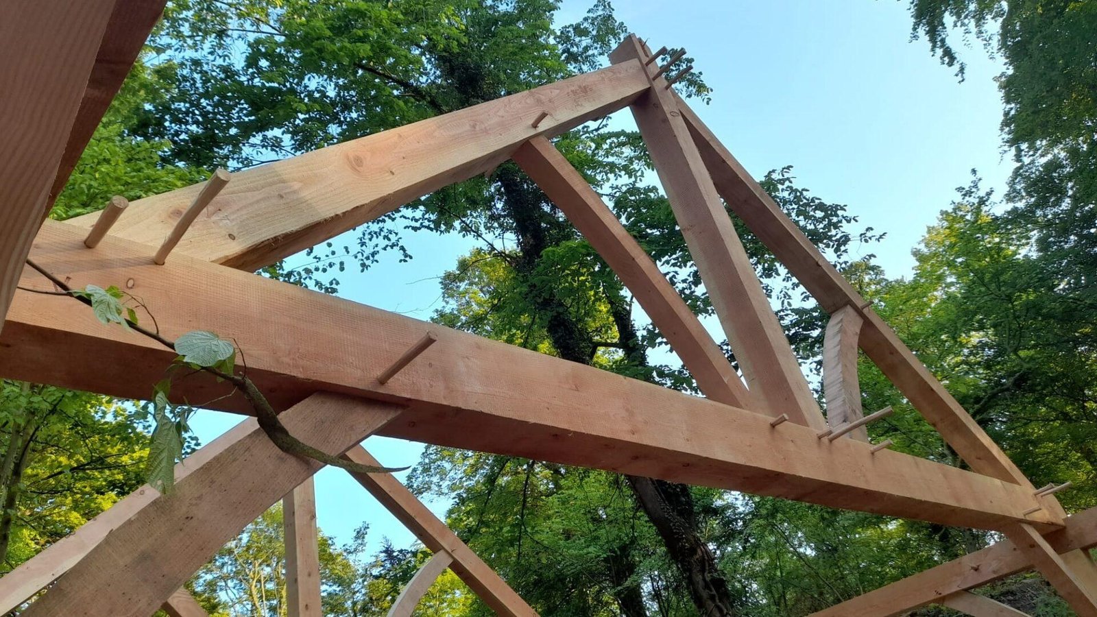Traditional timber frame being raised with handcrafted joints and wooden pegs on a North Wales timber framing course