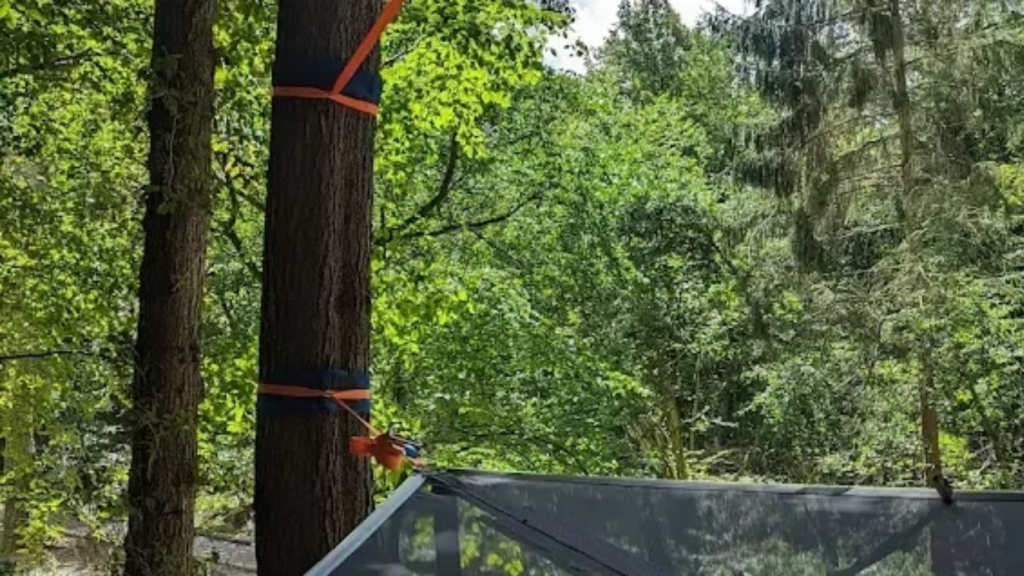 Looking out at the beautiful woodland from the hammock of a Tentsile tree tent hanging in an oak tree