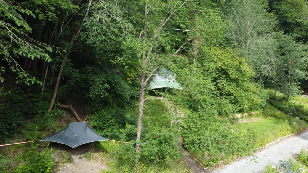 Drone view of two Tentsile Tree Tents nestled in the woodland between large oak trees with rain fly and ladder