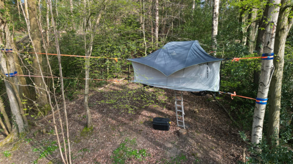 Tentsile Tent stack with two tiers attached to three trees in a woodland setting with rainfly and ladder.