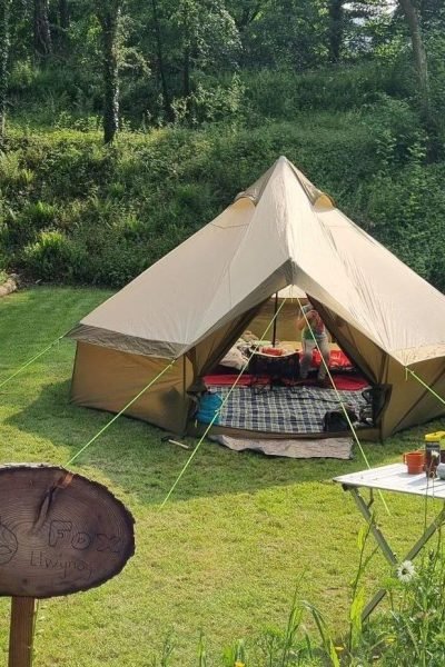 Spacious Fox woodland camping pitch with a large family tent at Tree Tops and Train Tracks in North Wales