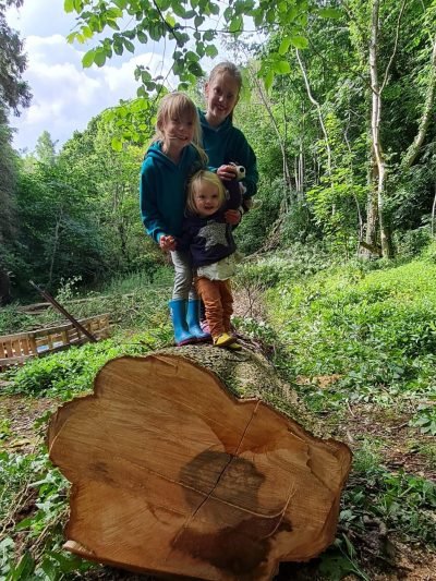 Children exploring the woodland during a family nature holiday at Tree Tops and Train Tracks in North Wales